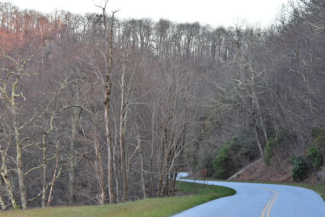 Blue Ridge Parkway near the Craddle of Forestry Outlook