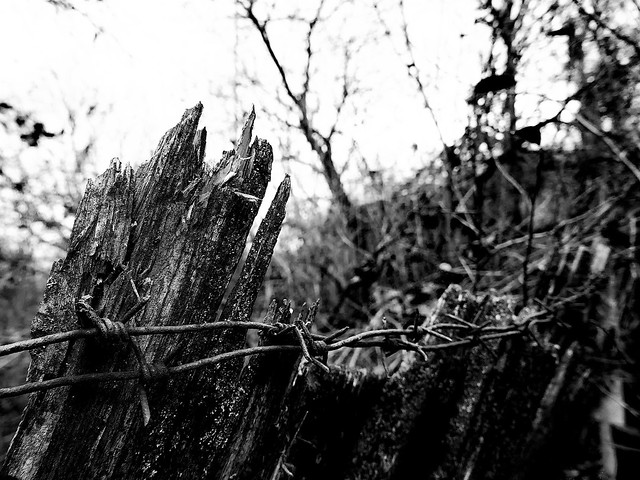 Barbed wire in black