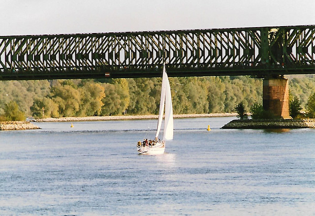 Mainz, Rhein, Segelboot bei der Eisenbahnbrücke (Rhine, sailing boat near the railway-bridge)