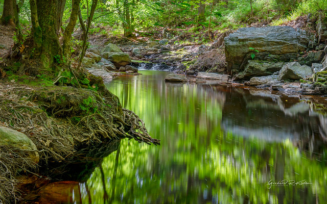 The green creek!