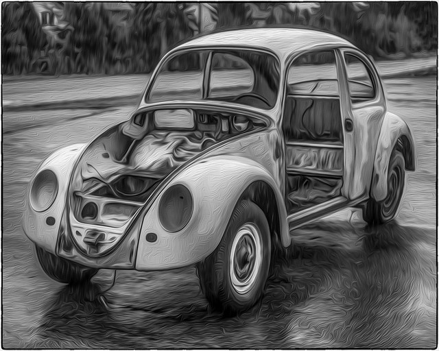 VW Bug Shell