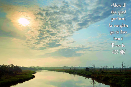 Darien Creek • Darien, GA by Humble Christ Follower, Dear friend, here are 5 things you should know:

1. Like it or not, we are ALL sinners: As the Scrip