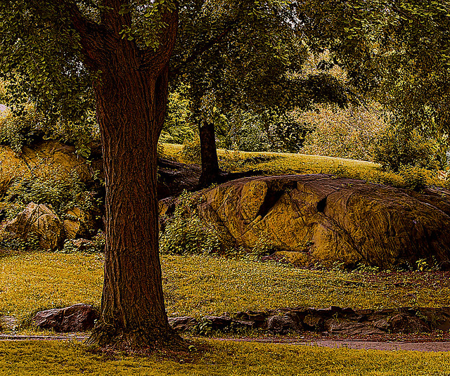 Colors of Springtime Landscape in Central Park (Nikon D7500 SigmaLense50.0-150.0 mm f/2.8 ƒ/7.1  50.0 mm 1/80  ISO320)