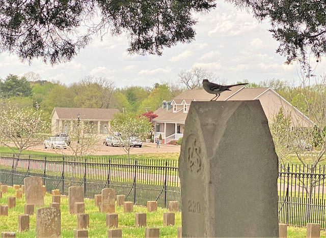 Franklin TN ~ Carnton Plantation Cemetery
