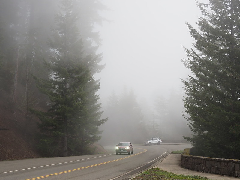 Foggy Hurricane Ridge Road: There were a couple of sections with thick fog like this.