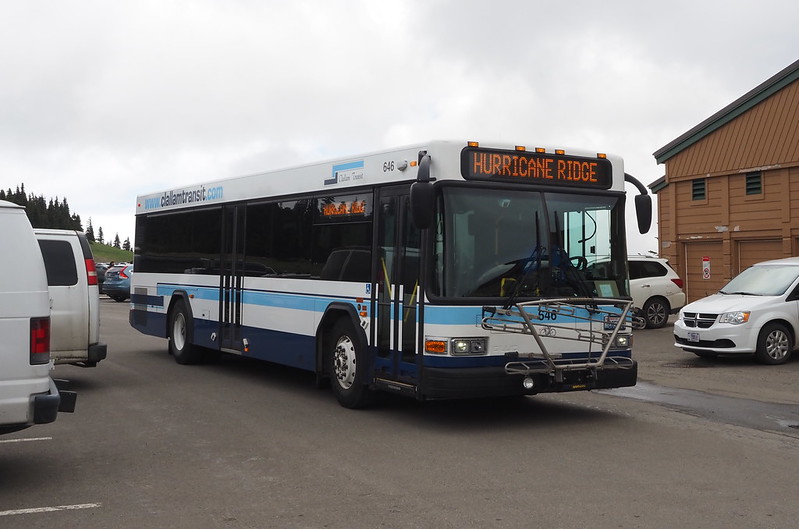 Clallam Transit Gillig Low Floor #645 at Hurricane Ridge Visitor Center: They really run buses up here!