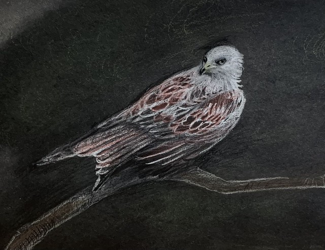 Experimental Art.    Chalk Pastel study on black card by jmsw, of a Kite.