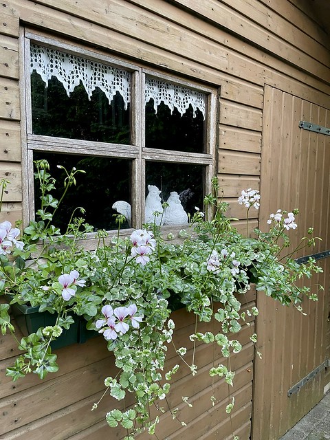 bloembak met hangplanten vensterbank schuur