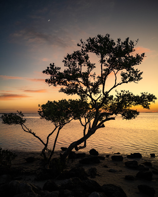 Sunset over the Gulf, Tarpon Springs, Florida
