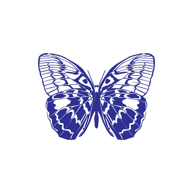Blue-butterfly