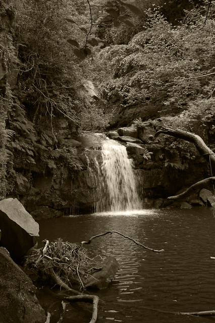 Thomason Foss Waterfall.