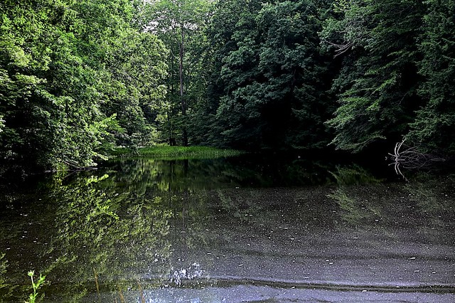 Reflections at Churn Creek Reservoir