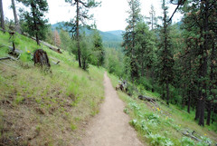 mineral ridge trail