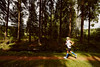 foto: Běhej lesy