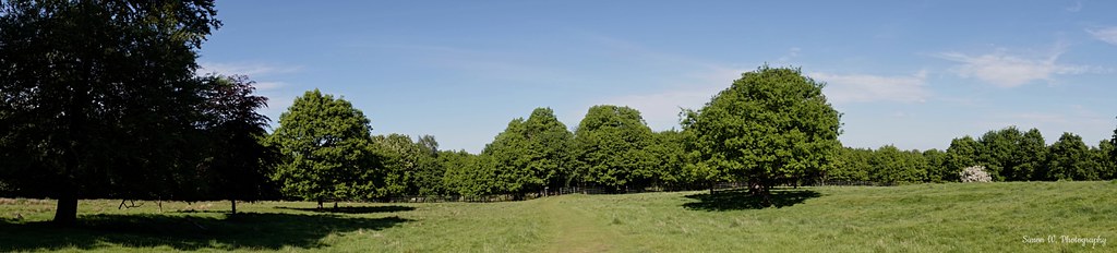 [NT] Wentworth Castle Gardens. Sweep Panorama (03)