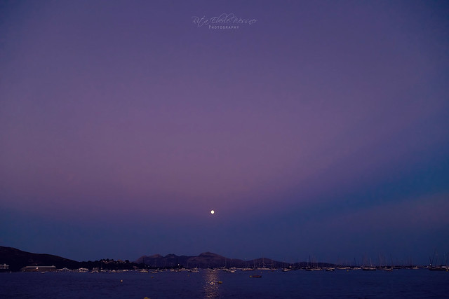 Violet moonrise
