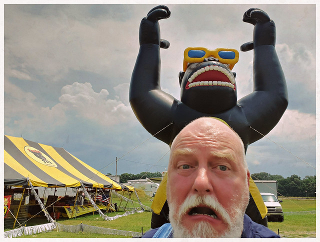 The Gorilla at the Black Cat Fireworks Stand has frightened me since I was 5 Years Old