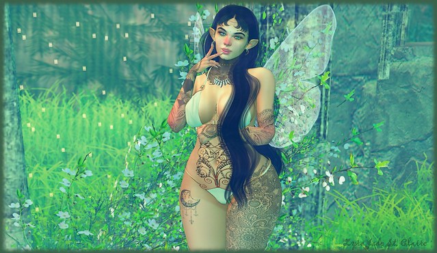 ~Fairies