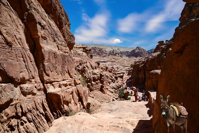 Trail to the Monastery at Petra - Jordan.