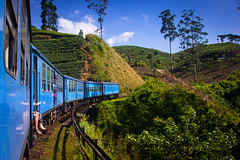 Train ride to Ella by Olanka Travels
