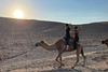 Riding camels
