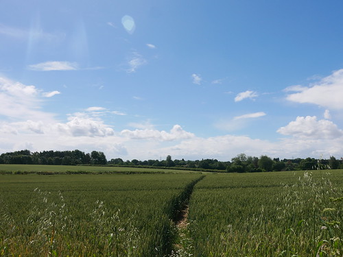 Worcestershire in Summer Time