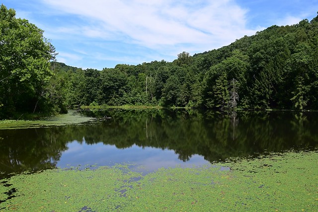 Pond Lick Lake at Shawnee State Forest in Ohio