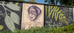 Street Art - Cologne