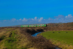 Southern Class 313 in Bishopstone