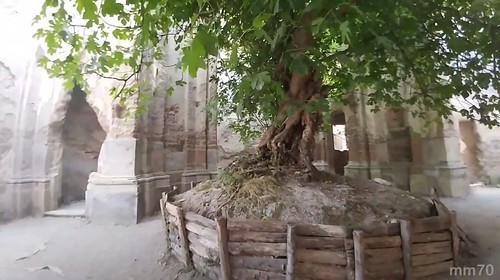 RARA 2022. Crolla il fico del convento di don Bastiano nel Marchese del Grillo. "...Marooonna...ma tiene 2 coglioni cosi, come..."; ROMA TODAY (27/06/2022) & Di Mauro Monto / Fotoracconti / YouTube (2020).