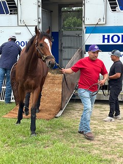 Like a Saltshaker was first horse off the trailer and into a stall Monday morning at Colonial Downs when the barn area opened for the 2022 meet which begins July 11. Photo Colonial Downs.