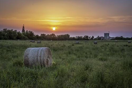 Sunset 1 by Silva Predalič, At Dajla, Croatiasunset sea seascape croatia meadow monastry sun warm summer dajla