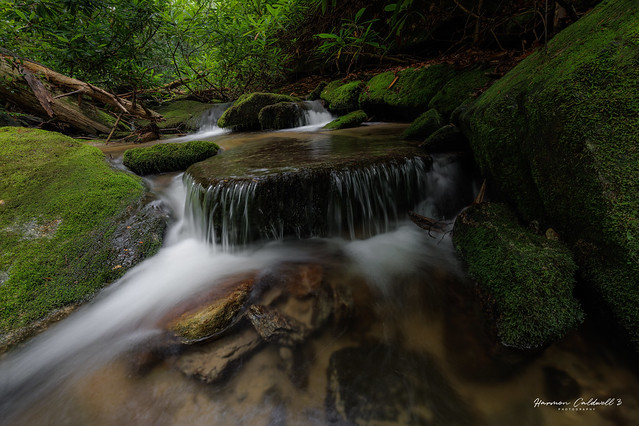 Mossy cascade on Laurel Fork Creek