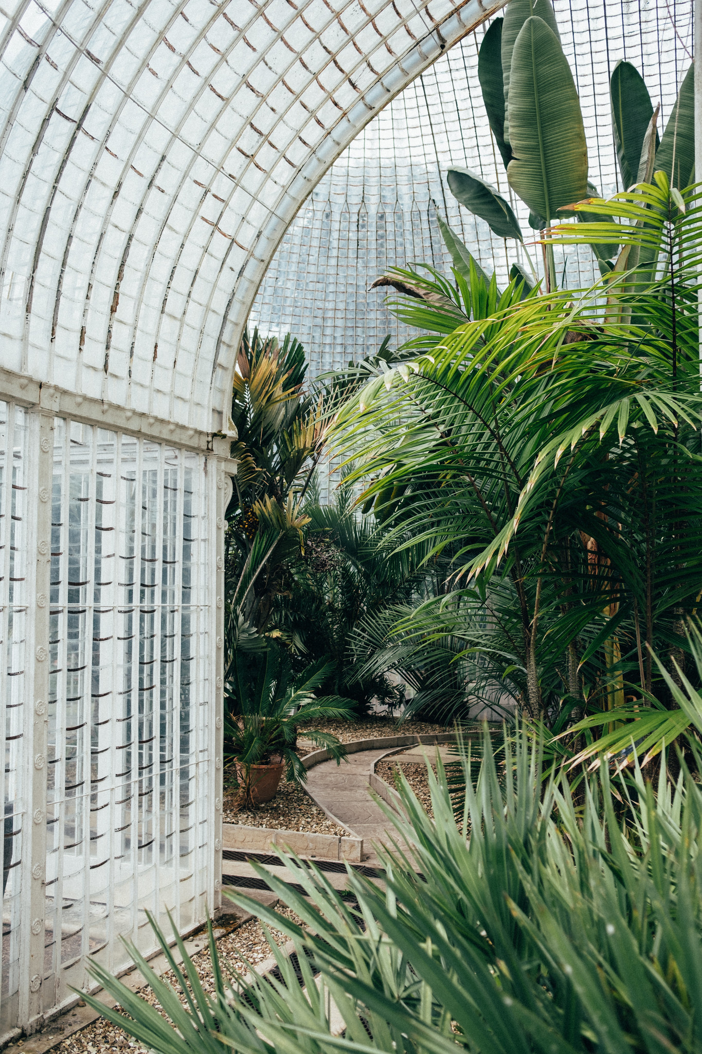 Bicton Park Botanical Gardens