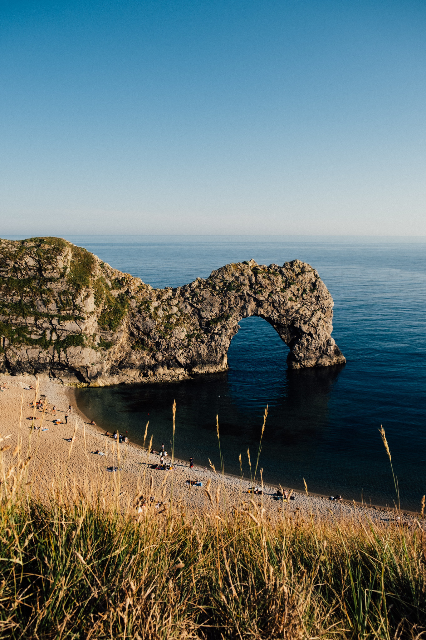 Dog-Friendly Beaches On The Jurassic Coast