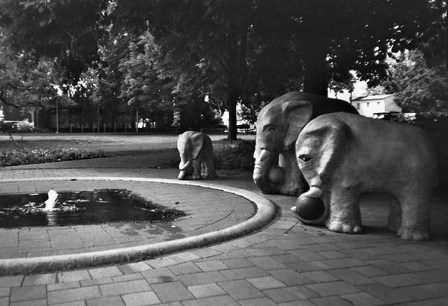 Elefantenbrunnen - I shot film