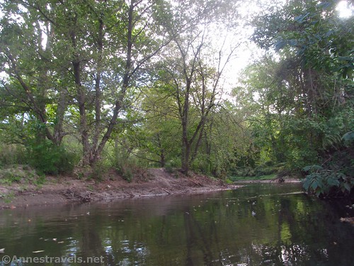 The bank where we launched our kayaks in Ellison Park, Irondequoit Creek, Rochester, New York