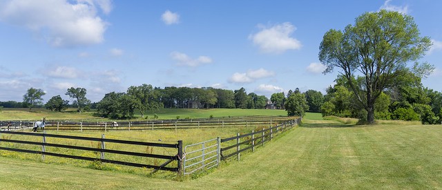 Albion Equestrian Landscape