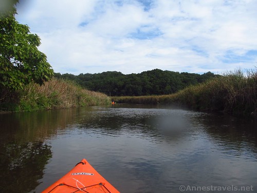 Paddling through the swamp between Tyron Park and Lucien Morin Park in Irondequoit Creek, Rochester, New York