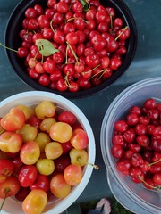 Bowls of cherries :cherries: