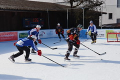 1. Langnau Pond Hockey Cup
