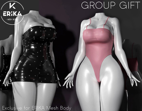 ERIKA Mesh Body New GROUP GIFT!