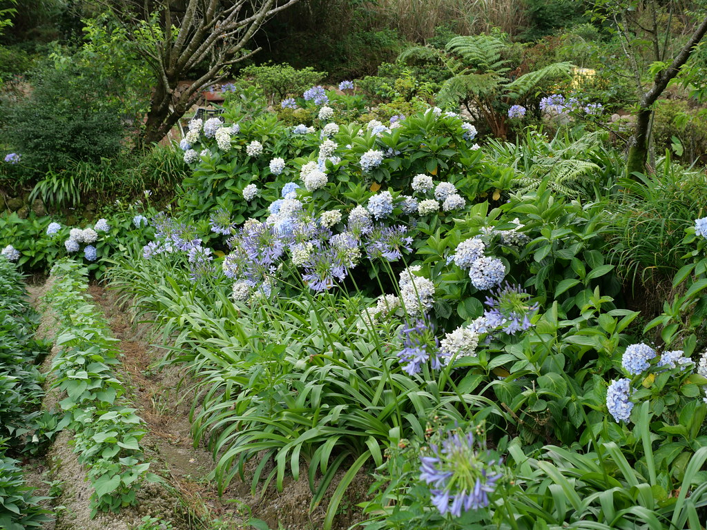 華之友自然景觀農園 陽明山後山