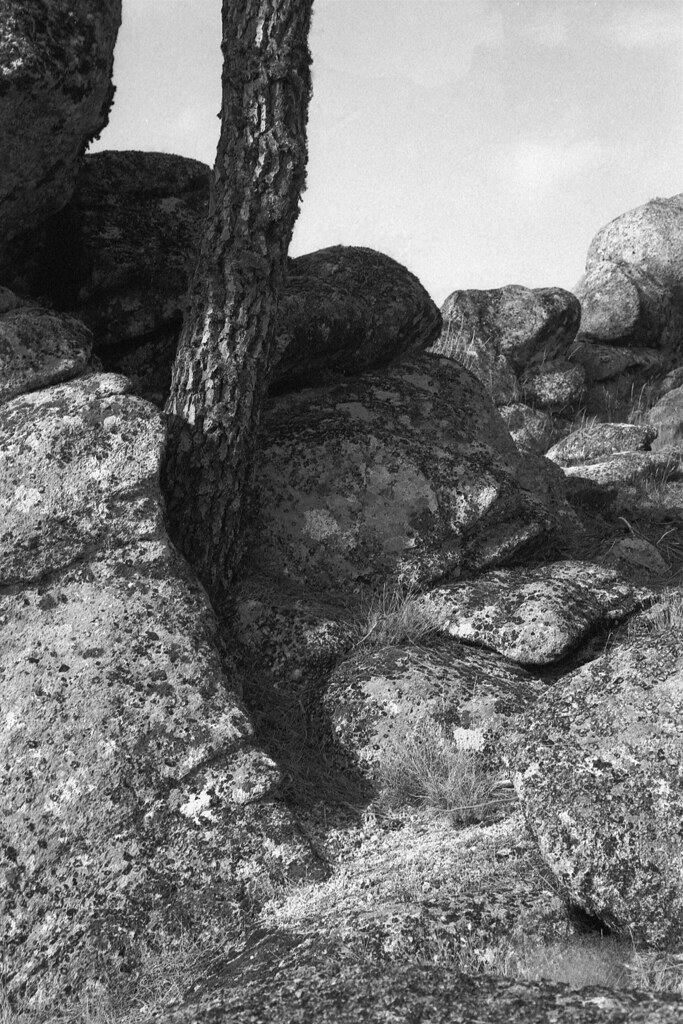Between a Rock and a Hard Place | Leica M6, Summicron 2.0/50… | Flickr