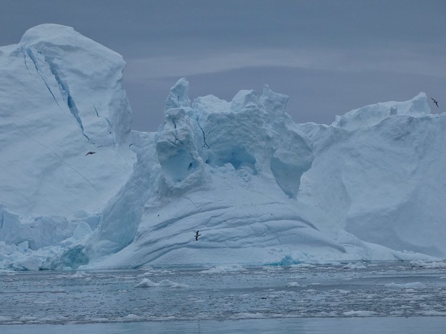 Icebergs en la Bahía de Disko (Ilulissat, oeste de Groenlandia)