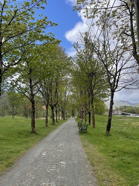 Trees and grassy meadows line a gravel path with two benches.