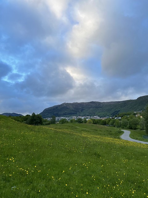 A green meadow dotted with yellow flowers is bordered by a gravel path. Trees, rooftops and mountains are visible in the distance.