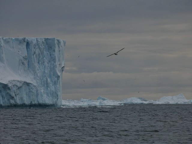 Iceberg en la Bahía de Disko (Groenlandia)