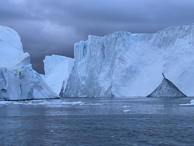 Icebergs en la Bahía de Disko (Oeste de Groenlandia)