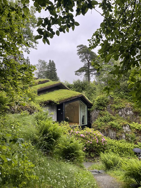 A small building with large glass windows and a grass-covered roof sits in a lush garden.